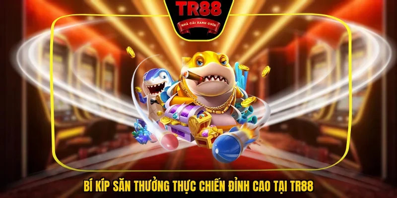  Bí kíp săn thưởng thực chiến đỉnh cao tại TR88